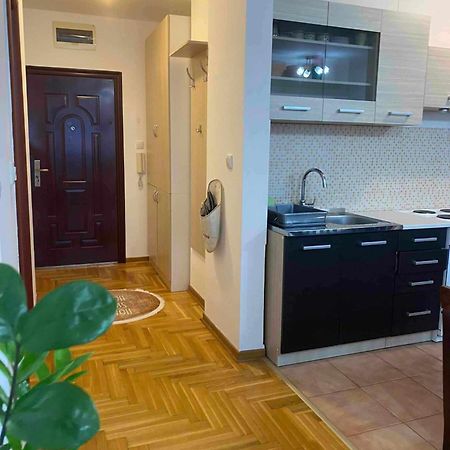 D Apartment Free Private Parking Fast Wi-Fi Novi Sad Dış mekan fotoğraf